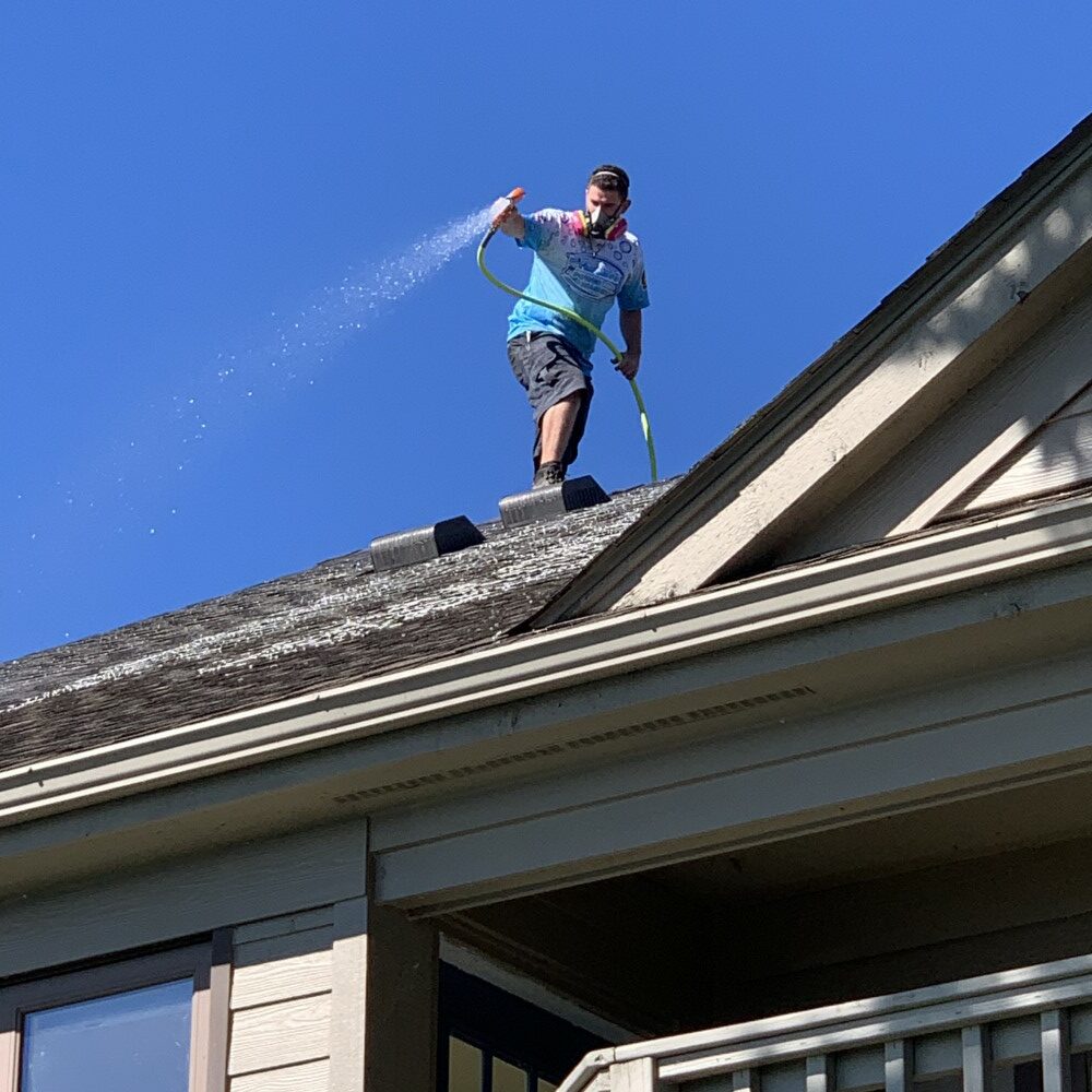 Roof Cleaning Macomb County
